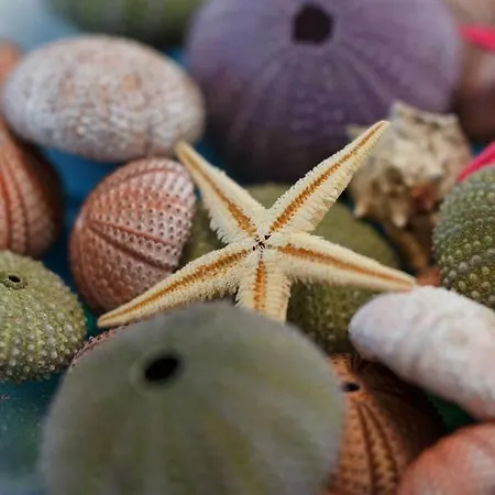 Hébergement de vacances Into The Blue